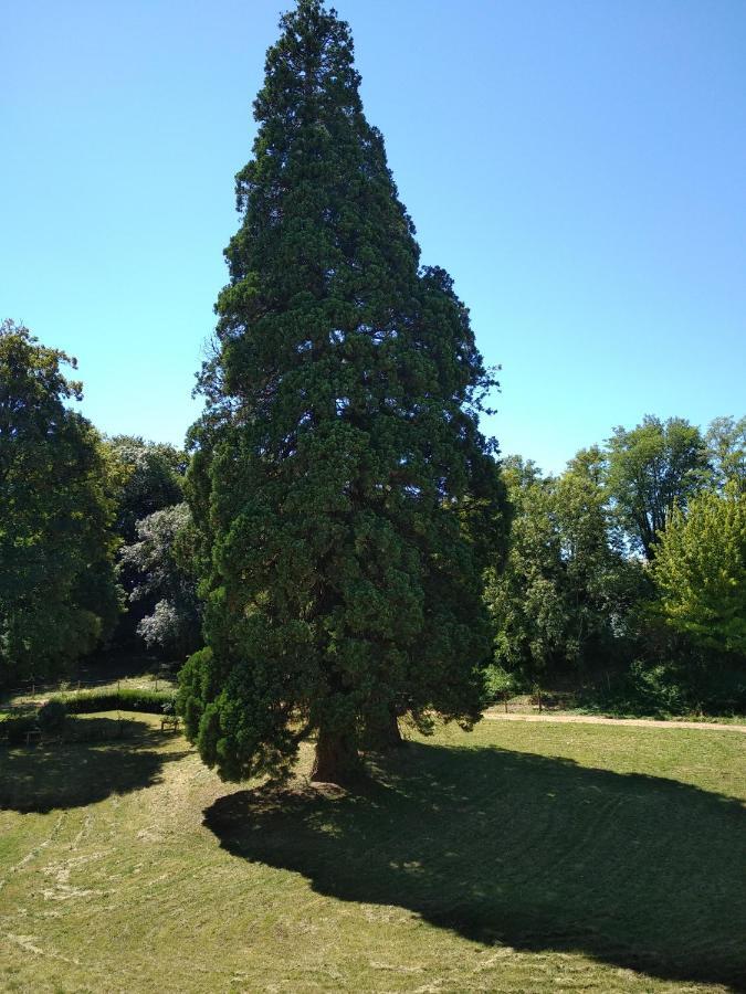 Hotel Chateau De St Alyre Sanssat Exterior foto